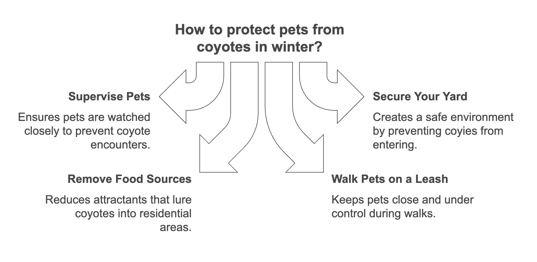 Tips to Keep Your Pets Safe from Coyotes This Winter